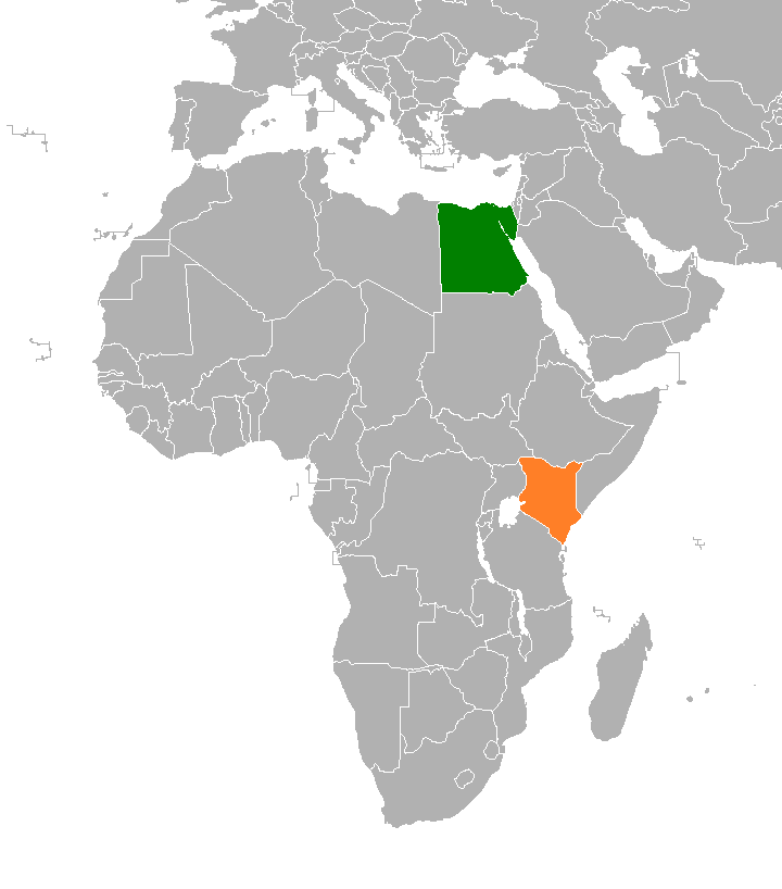 Egypt, Kenya naval commanders discuss military cooperation, maritime security - Defence - Egypt