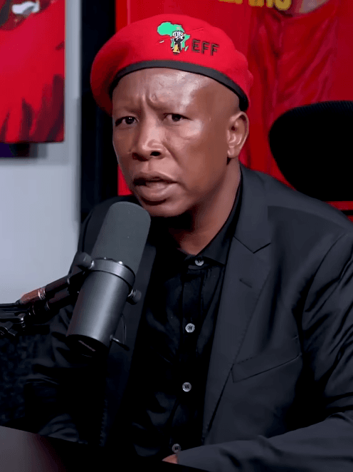 Malema — editorial portrait