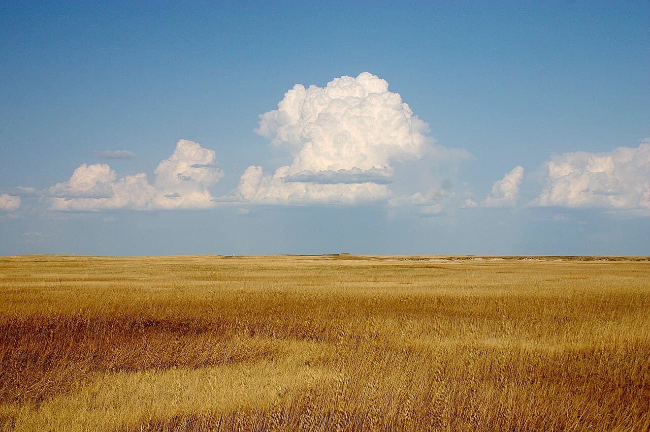 Landscape — editorial portrait