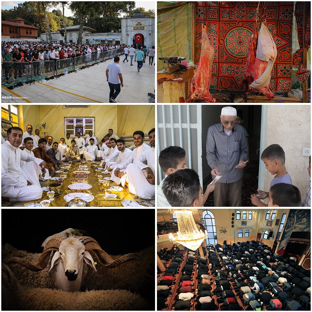 Eid Al Adha — editorial portrait